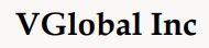 VGlobal INC